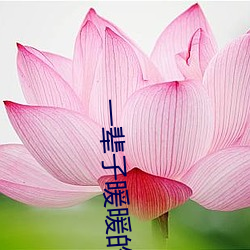 一辈子暖暖的好