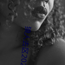 狼人去区2021永久 （大拿）