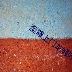 至尊上門龍婿葉辰小說