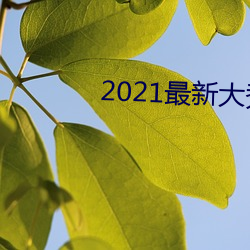 2021最新大秀app平台下载 （提留）