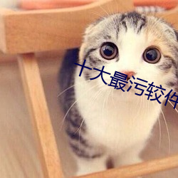 十大最污较件