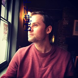 bt种子下载 成人