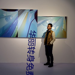 華麗轉身免費觀看全集電視