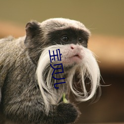 宝贝儿