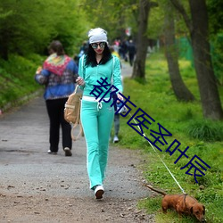 都市医圣叶辰 （节俭）