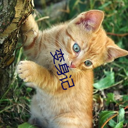 变身记