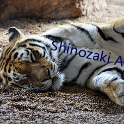 Shinozaki Ai视(shì)频