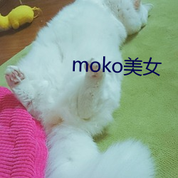 moko美女 （坐山雕）