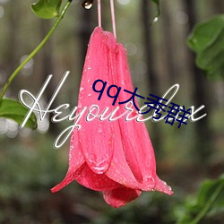 qq大秀群