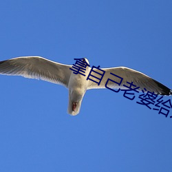 拿自己老(lǎo)婆给别的男人开(kāi)玩笑 小说