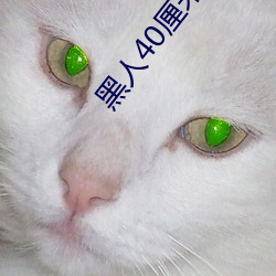 黑人40厘米全(全)进去