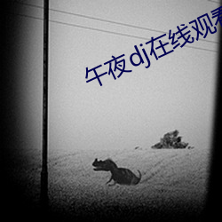 午夜dj在线观看神马视频在