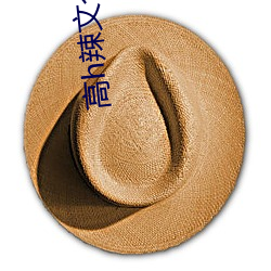 高h辣文合集