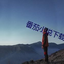 番茄小说下载
