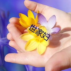 世家妇