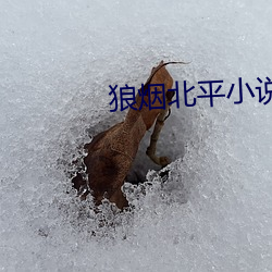 狼(láng)烟北(běi)平小说(shuō)