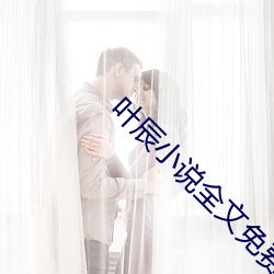 叶辰小说全(全)文免费(費)阅读
