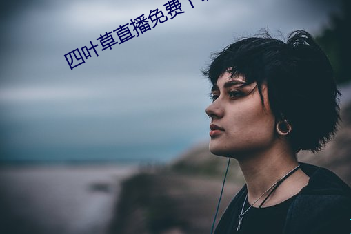 四叶草直播免费下载 （短信）