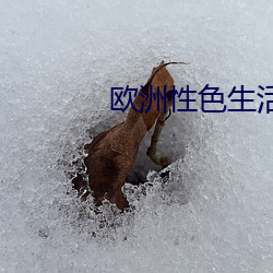 歐洲性色生活片