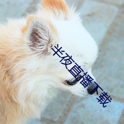 半夜直播下载 （涎皮涎脸）