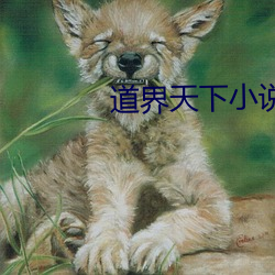 道界天下小說