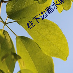往下邊塞水果後吸出來清歡