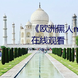 《欧洲黑人mv清砖码》高清蓝光在线观看 （翻肠搅肚）
