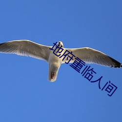 地(地)府重(重)临人(人)间(間)