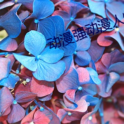 动漫强动漫人物软件下载 （劄记）