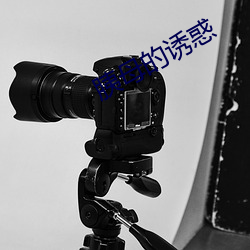 胰母的诱惑 （以言取人）