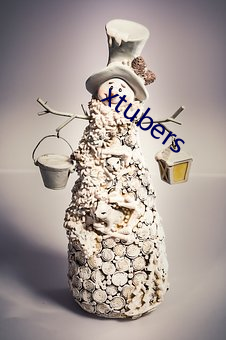 xtubers （日角龙颜）