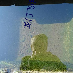 龙门飞甲(jiǎ)3d高清下载(zài)