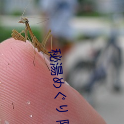 秘湯めぐり 隠(隠)れ湯