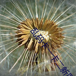 乱码卡一卡二新国色天香