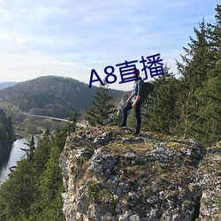 A8直(zhí)播