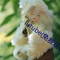 lutube(免费观看入口)app下载