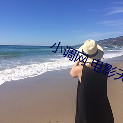 小调网 电影天堂