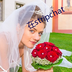 在(zài)stripchat