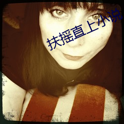 扶摇直上小说