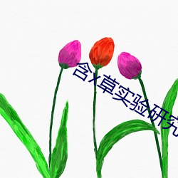 含x草实验研究所app2021