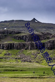 8x8x视频(pín)免(miǎn)费版人(rén)成下载(zài)