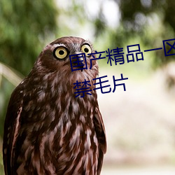 国产精(精)品一区(區)二区(區)三区(區)一(一)级尿失(失)禁毛片(片)