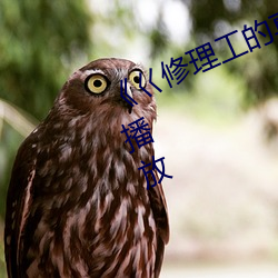 《巜修理(lǐ)工(gōng)的真实调(diào)教》剧情片在线(xiàn)播放