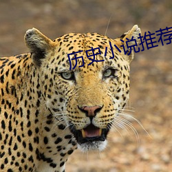 历史小说推荐