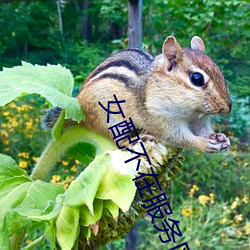 女配不在服务区 （野鹤孤云）