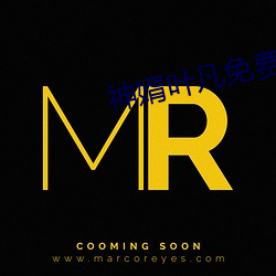 神婿叶凡免费全文阅读