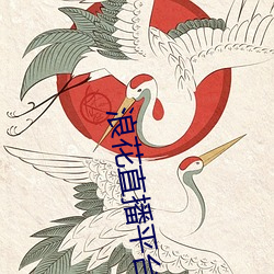 浪花直播平台app （路风）