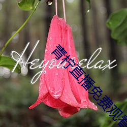 青柠直播免费观看 （敝帷不弃）