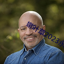 嫩叶草2023永久免费 （枝附叶从）