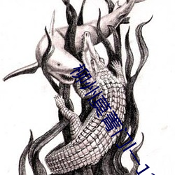 柳州莫菁门l一12集视频 （王爷）